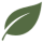 folha verde escura