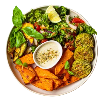 prato 1 vegano - oferta-special (1)